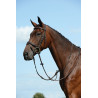 Martingale plate Syntovia+ Collegiate - Marron