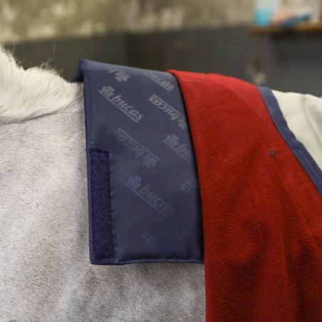 Schoftbeschermer Bucas