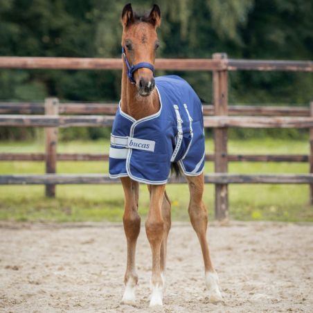 Veulen deken Bucas Turnout 50g