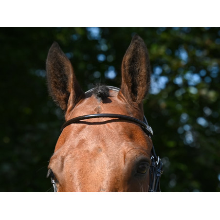 Frontal Jump'In verni rond