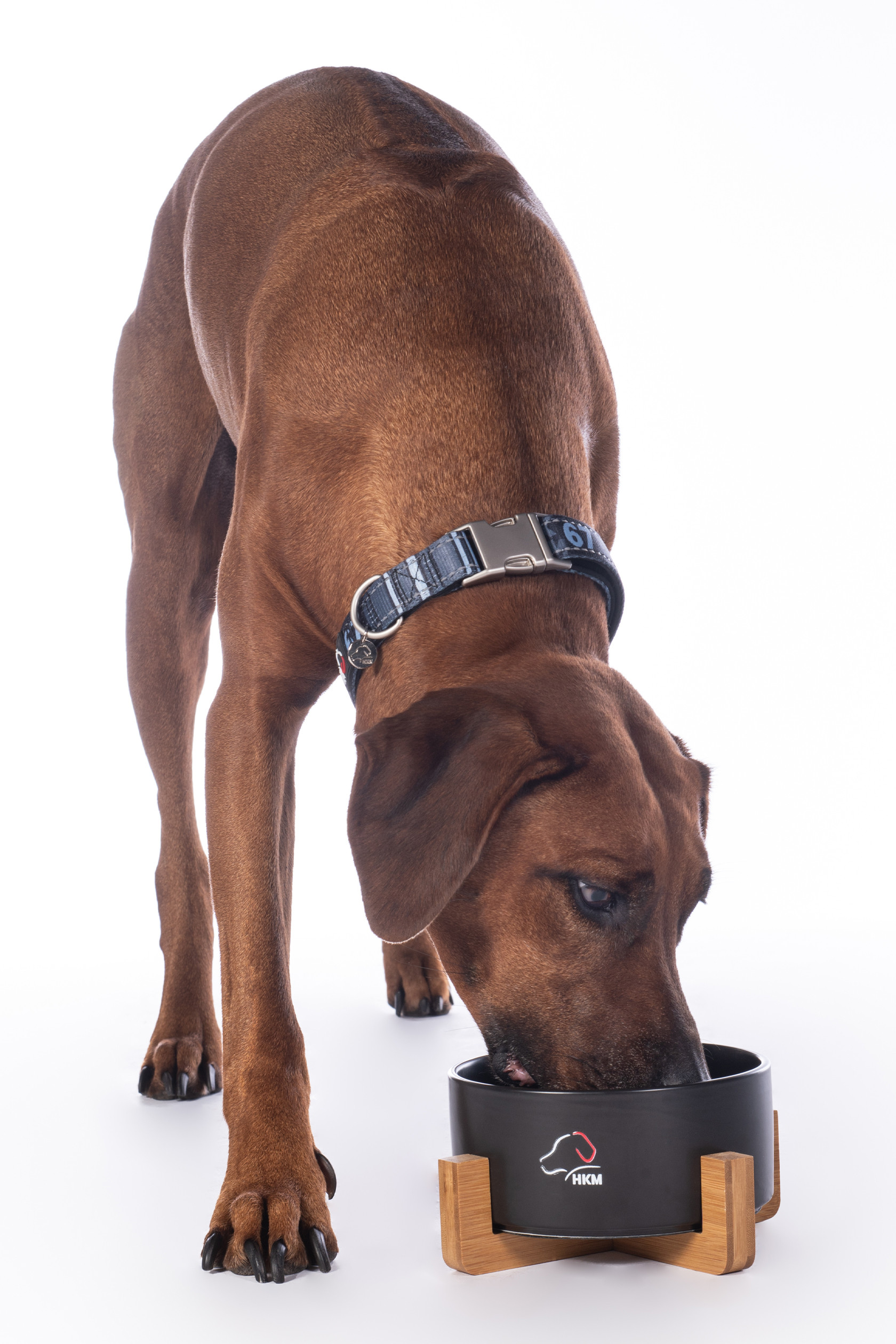 Gamelle pour chien Buddy céramique HKM Noir Gamelle pour chien Buddy céramique HKM Noir