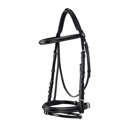 Engelse lederen hoofdstel met contrasterende stiksels Stitched Equestro