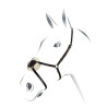 Hoofdstel met Mexicaanse neusriem Equestro - Zwart