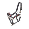 Nylon halster met lijn Red Trim Equestro - Grijs / rood / zwart