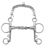 Mors Pelham Feeling Anatomic branches courtes