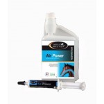 Air Power Horse Master