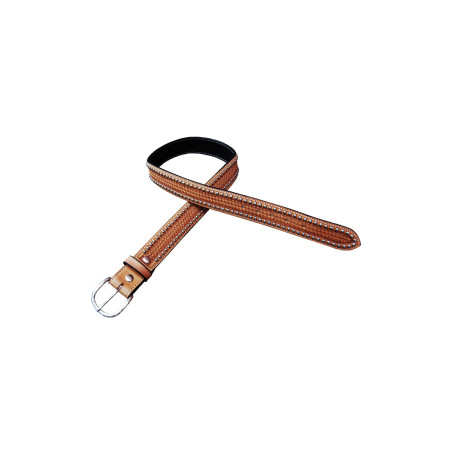 Western Classic Pool's Riem