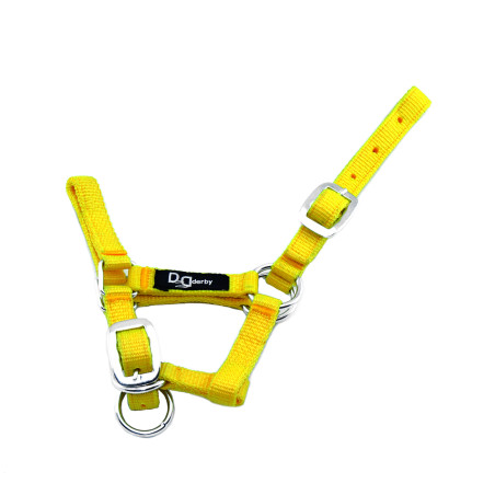 Nylon Veulen Halster Verstelbaar Supreme