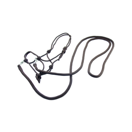 Halster Gebonden met Teugels en Musketons Umbria Equitazione