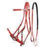 Bridon Licol en Biothane Lakota - Rouge