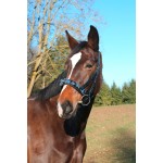 Caveçon Exclusif noir en cuir