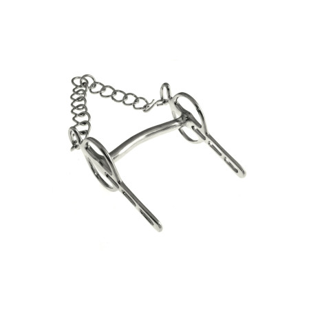 Mors Liverpool met Vaste Takken Umbria Paardrijden