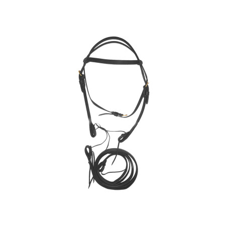 Dubbele Leren Western Hoofdstel met Teugels Lakota