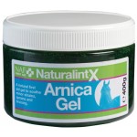 Arnica Gel NaturalintX NAF