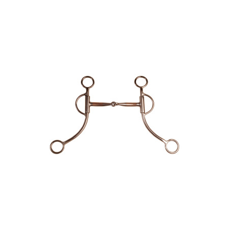 Roestvrij mors lange takken Pool's