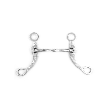 Westernbit met versierde stangen van roestvrij staal Pool's