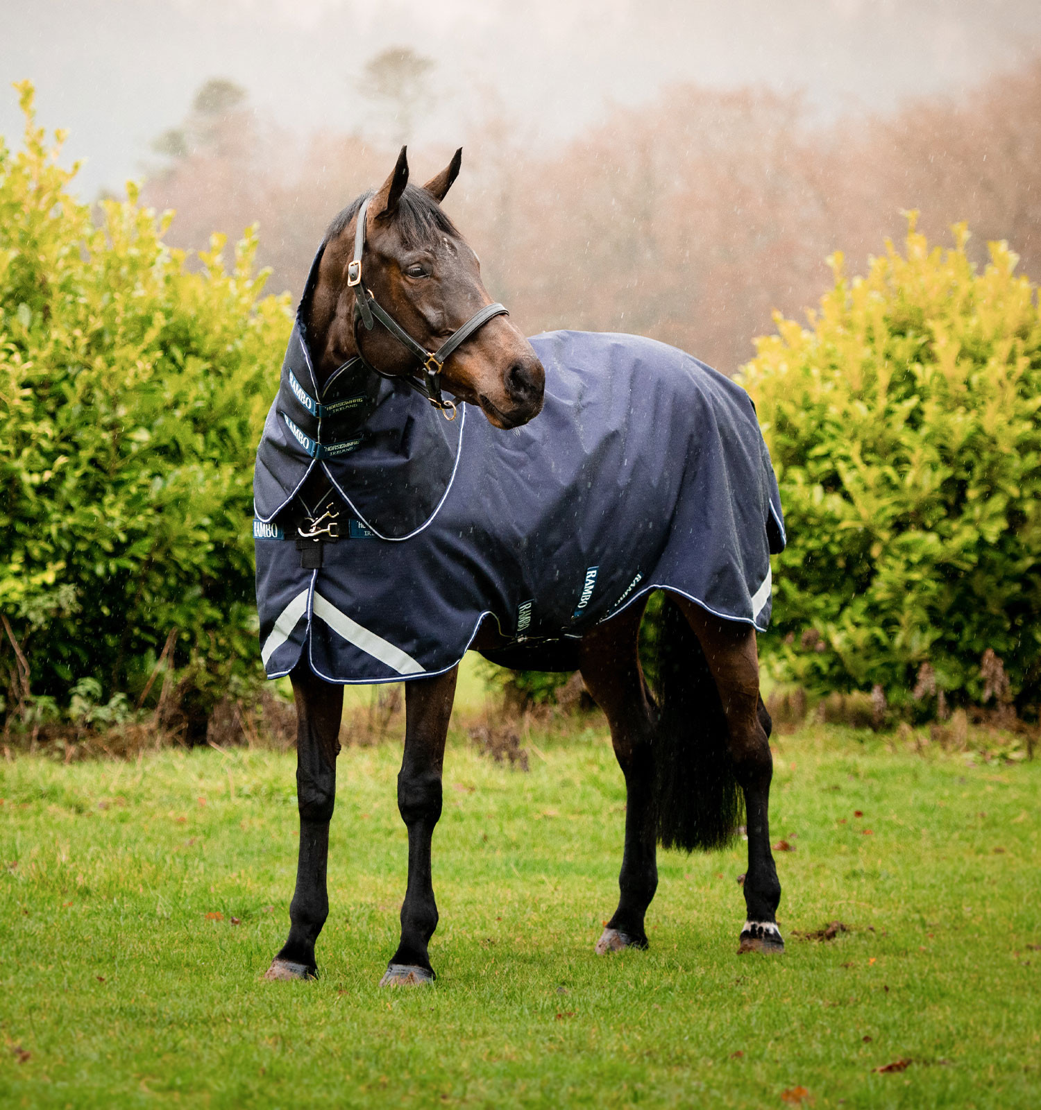 Horseware Rambo Duo Force deken 100g met liners 100g en 300g Marine / marine / wit Marineblauw