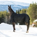 Couverture d'extérieur Horze Nevada 200g 1200D