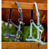 Speciale Weidhalster Horseware® Fieldsafe - Blauwe waas