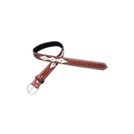 Luxe Paardenzwembadriem