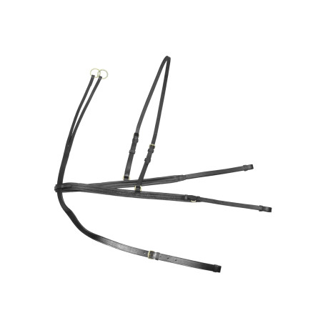 Martingaal en hulpteugel Denver