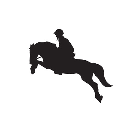 Autocollant voitures HKM Jumping 2