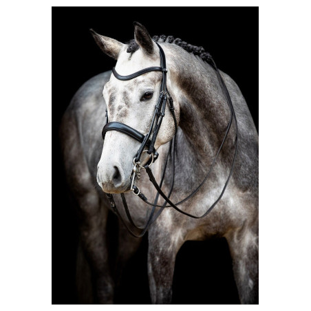 Hoofdstel Montar Normandië gelooid leer