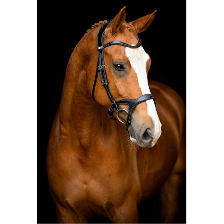 Bridon Montar Monarch leer organisch gelooid