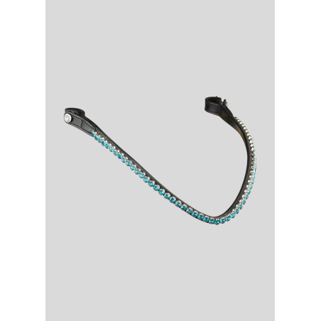 Frontaal Monteren Blauwe Duif Fair