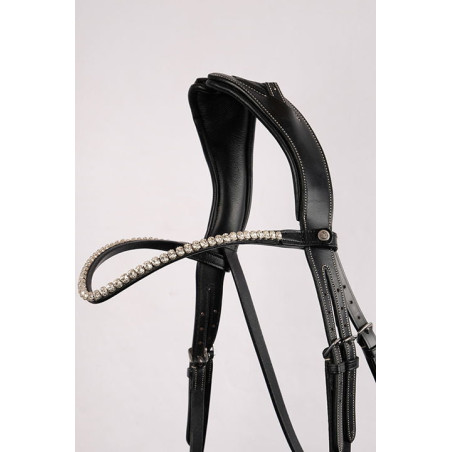 Frontale Montar Fair kristal helder gebogen