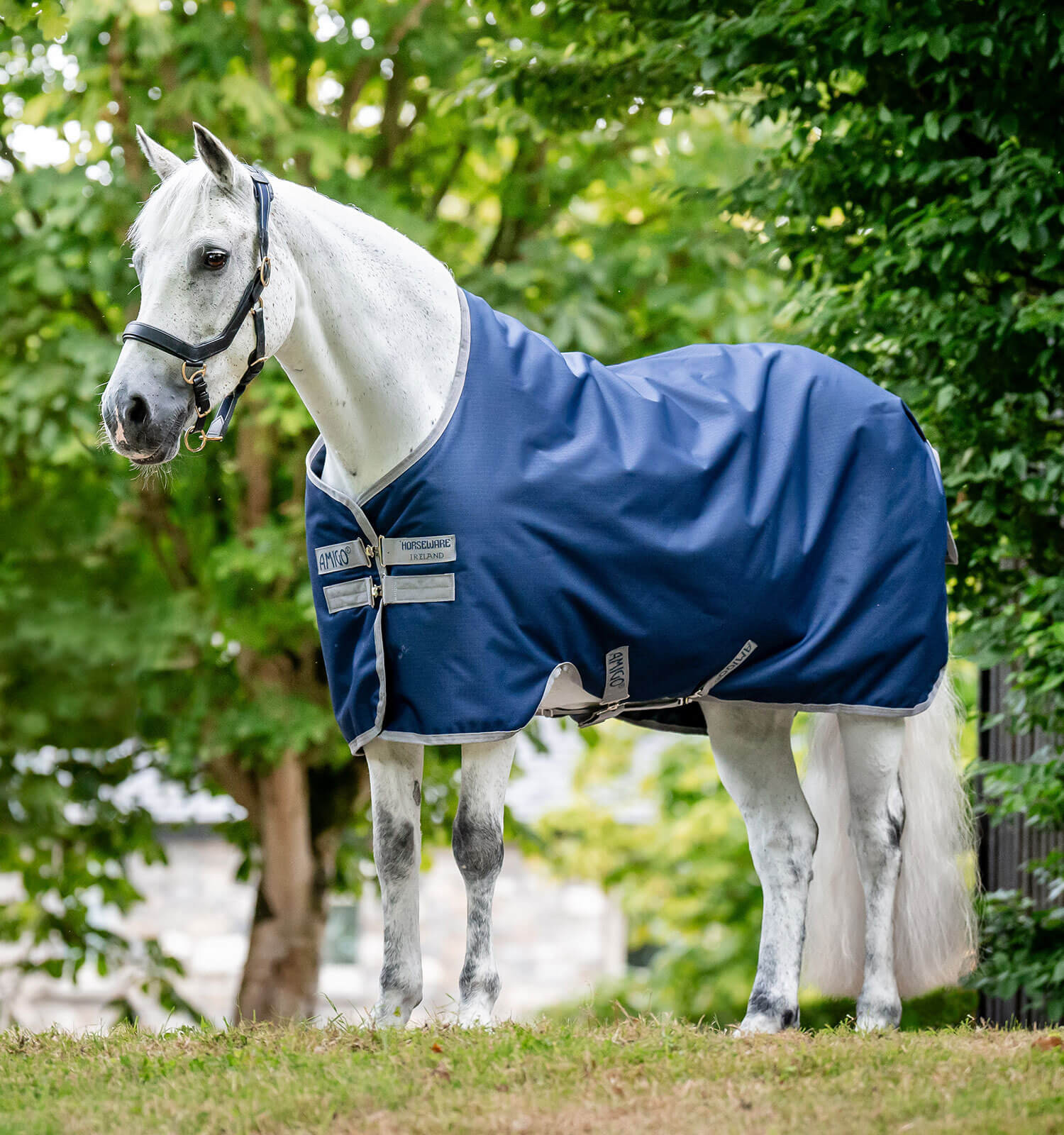 Amigo Ripstop Horseware 900D Turnout deken gevoerd met fleece 50g Marine / titaangrijs Marineblauw Amigo Ripstop Horseware 900D Turnout deken gevoerd met fleece 50g Marine / titaangrijs Marineblauw