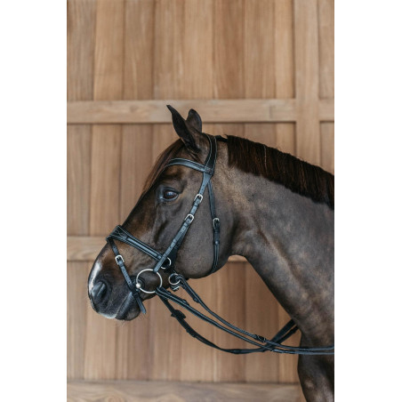 Bridon Working van Dy'on met bewegingsvrijheid