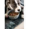 Gamelle pour chien Bamboo Terrazzo Kentucky - Gris
