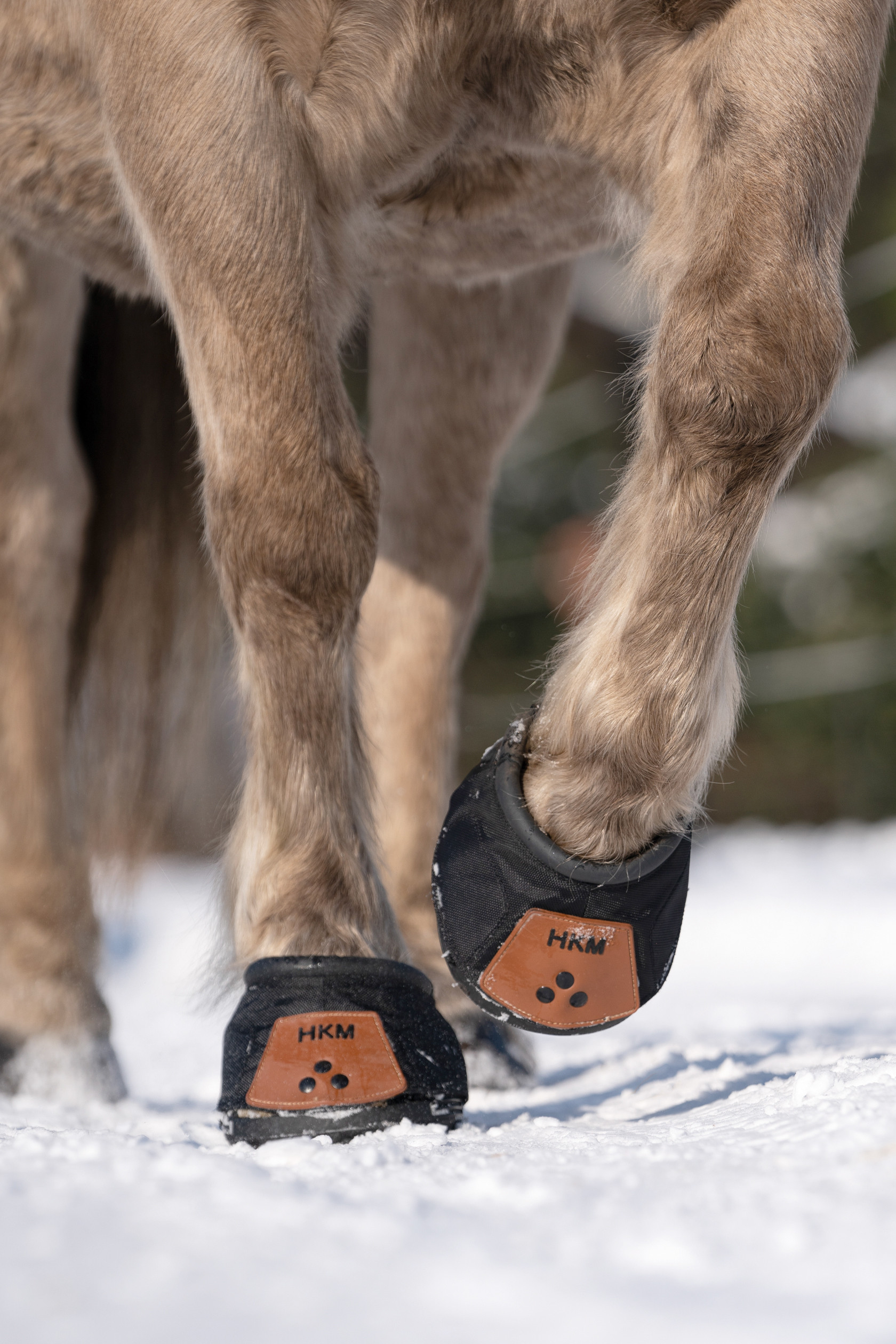 HKM Hoefschoenen Zwart