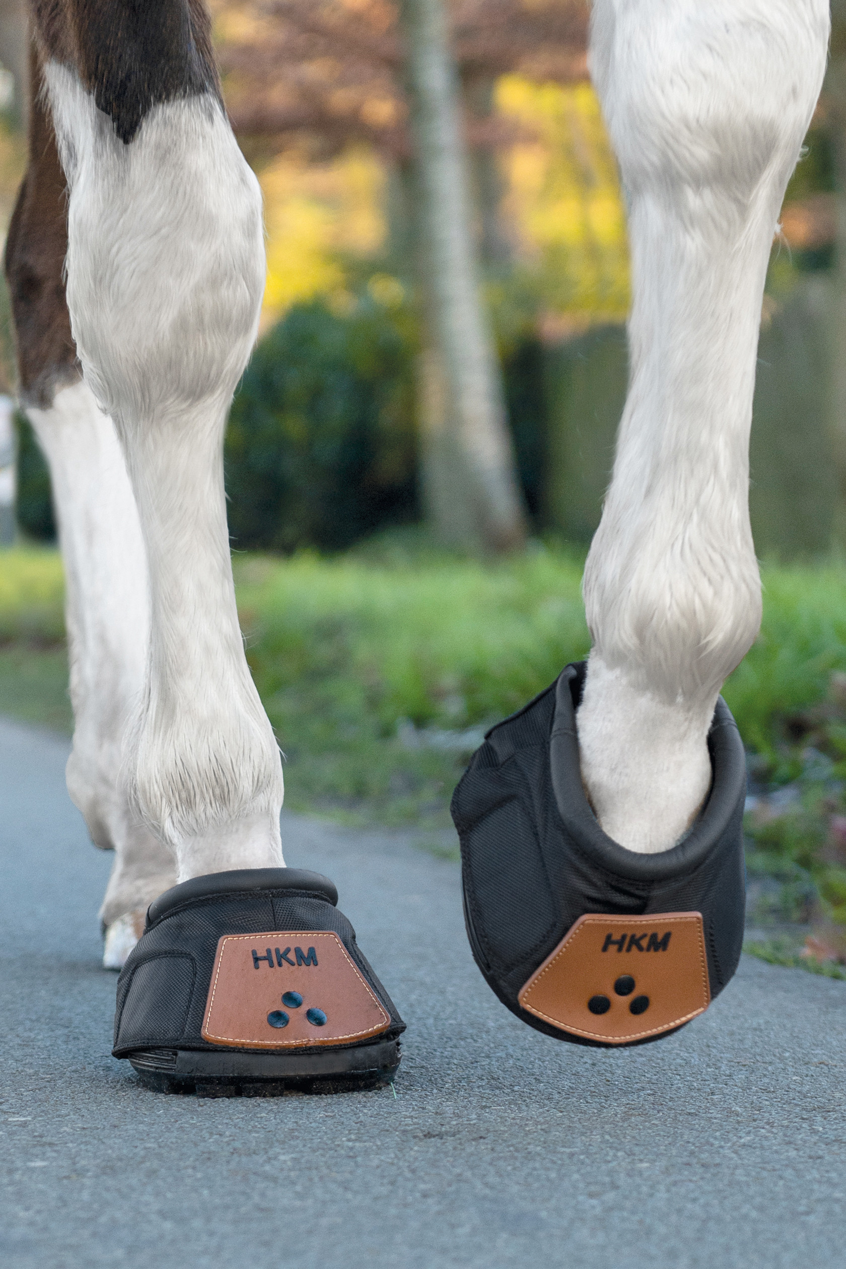 HKM Hoefschoenen Zwart