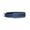Collier pour chien Charlie Back on Track - Bleu