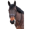 Bridon de chasse Canter - Marron