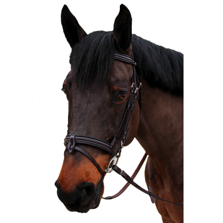 Bridon Canter bombé 1/2 rond Nino
