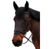 Bridon Canter bombé 1/2 rond Nino - Marron
