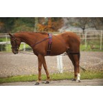 Norton katrollenhulpteugel