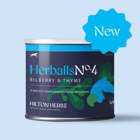 Herballs N° 4 Bosbes & Tijm Hilton Herbs
