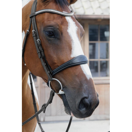 Anatomische Neusriem zonder Kinriem Collectie US Jumping Dy'on