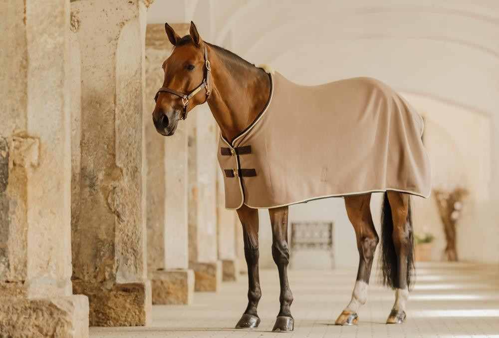 Chemise show séchante vegan wool Kentucky