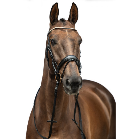 Hoofdstel Kopenhagen HKM