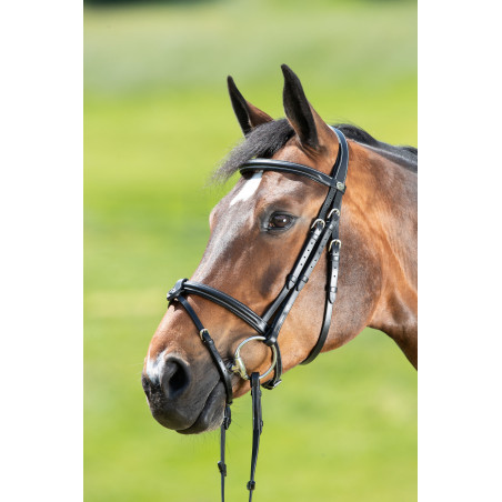 Bridon anatomique HFI