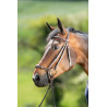 Bridon German HFI - Marron