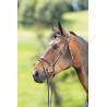 Bridon Technical HFI - Marron