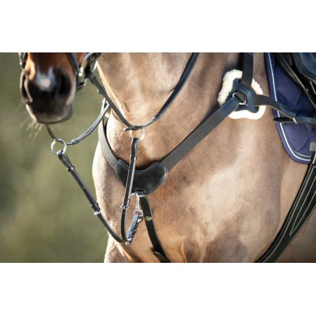 5-punts borsttuig HFI