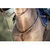 Collier de chasse Long Bridge HFI - Marron