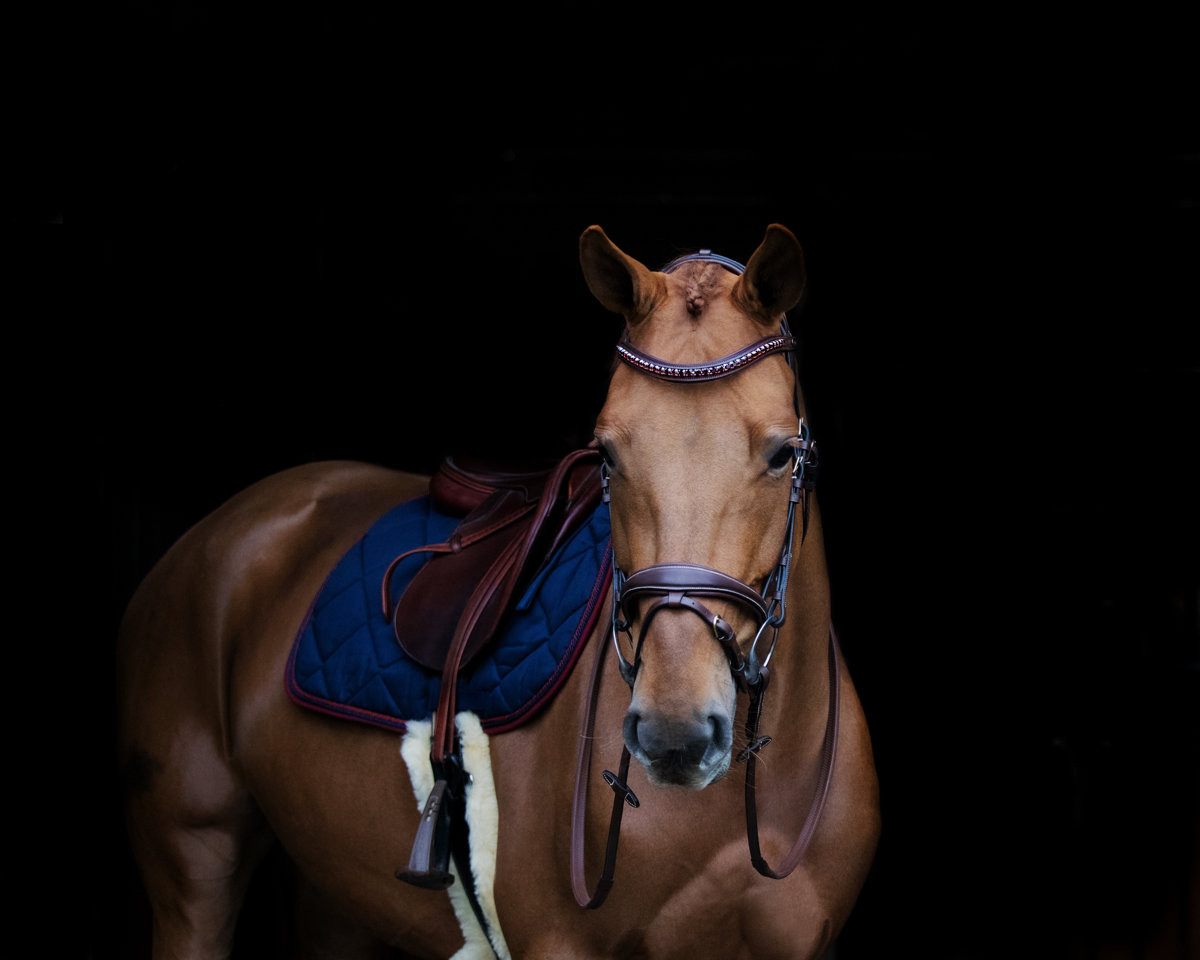 Voorgevormd gewatteerd voorstuk met golvende strass HFI Zwart / zilverkleurig Voorgevormd gewatteerd voorstuk met golvende strass HFI Zwart / zilverkleurig
